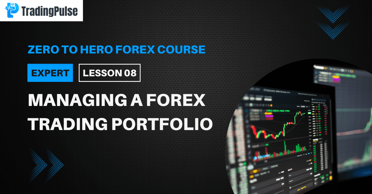 Forex Trading Portfolio