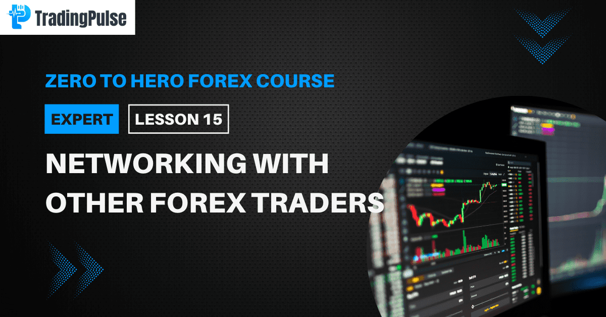 Networking with Other Forex Traders